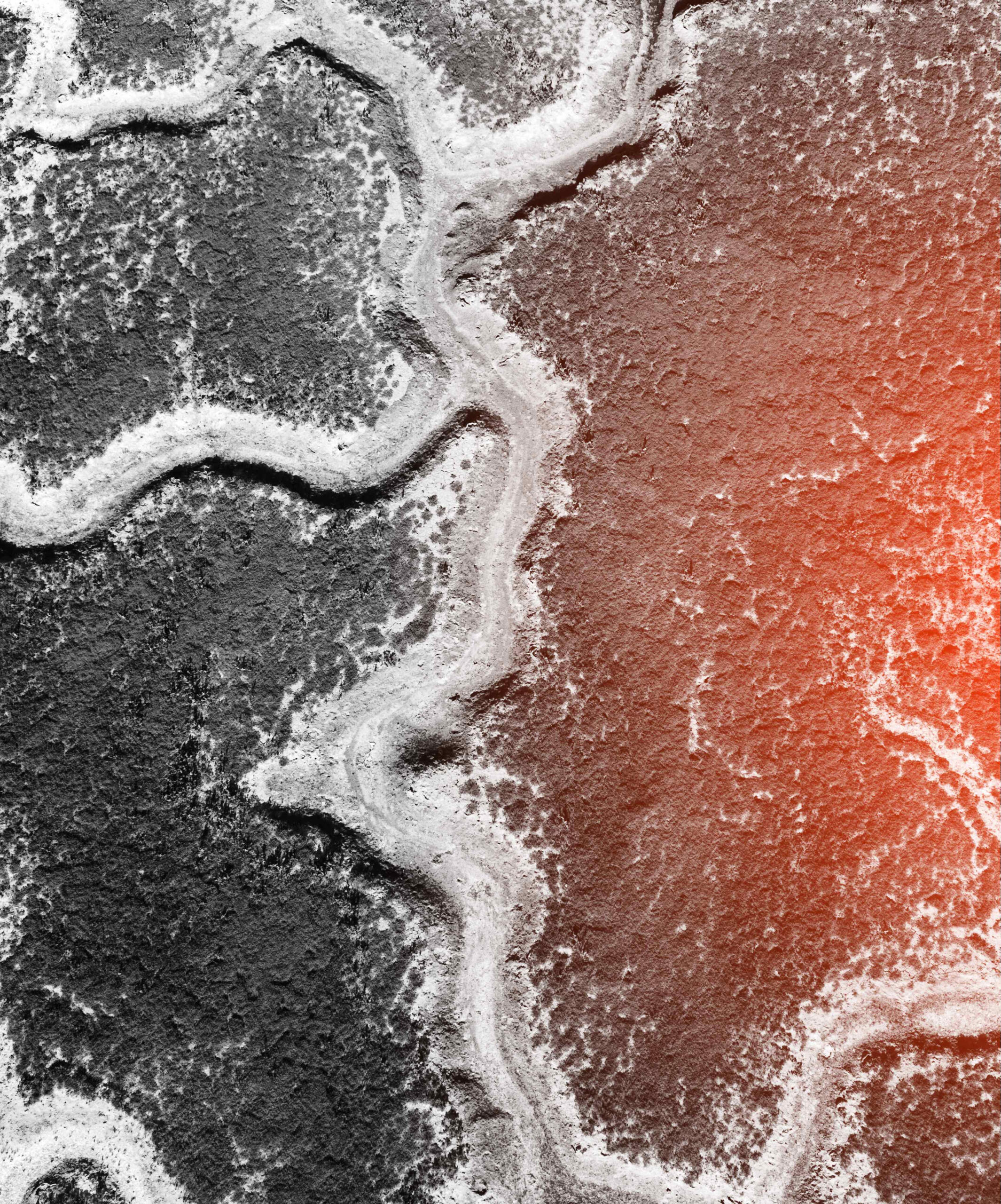 Niels de Fraguier - Ideator Niels de Fraguier - foresight thinking