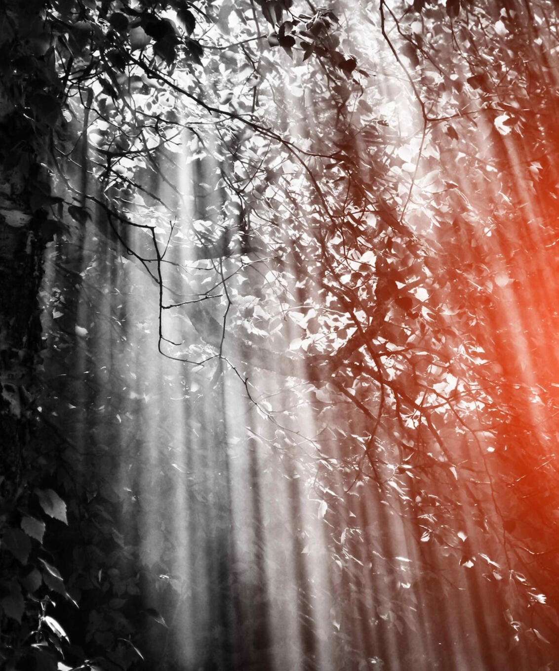 Niels de Fraguier - Contact fr Niels de Fraguier - Contact fr