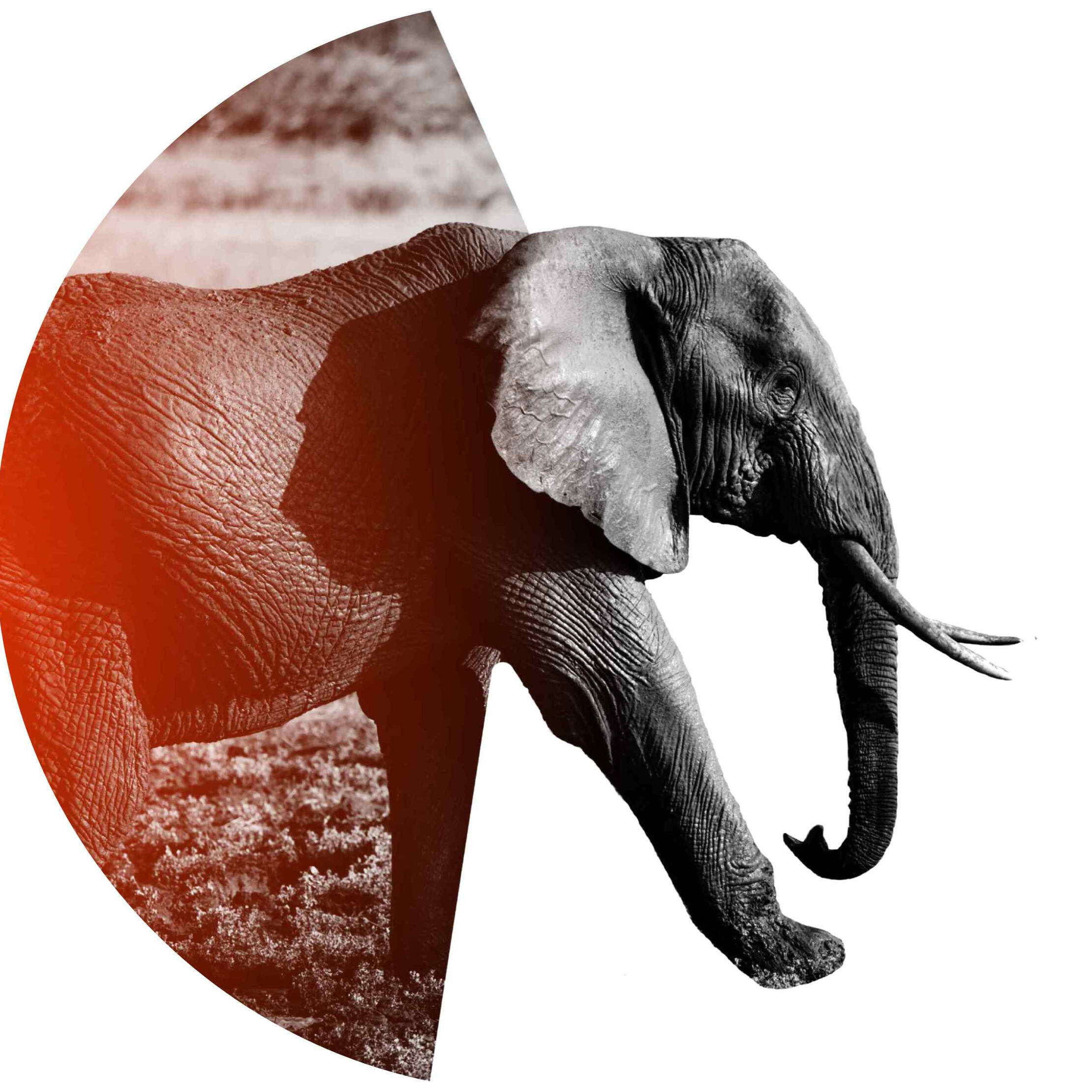 consultant regeneration sustainability business