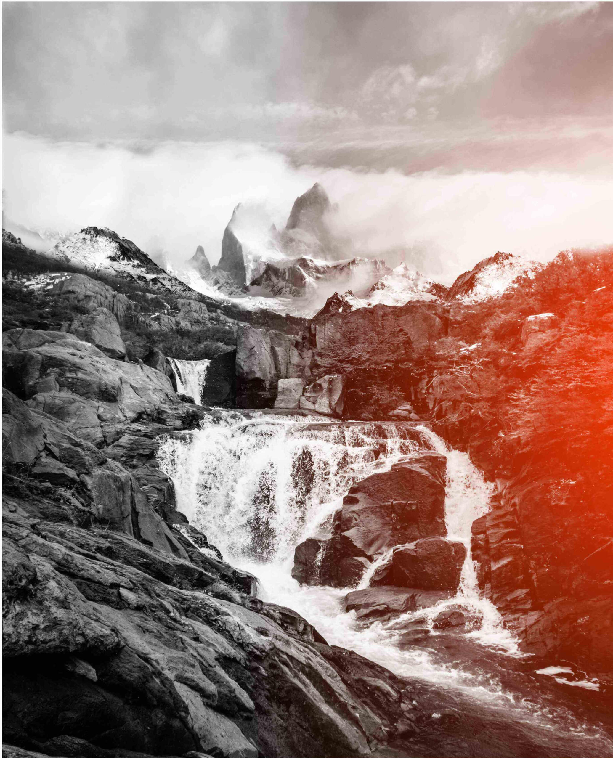 Founder and pioneer - entrepreneur impact changemaker